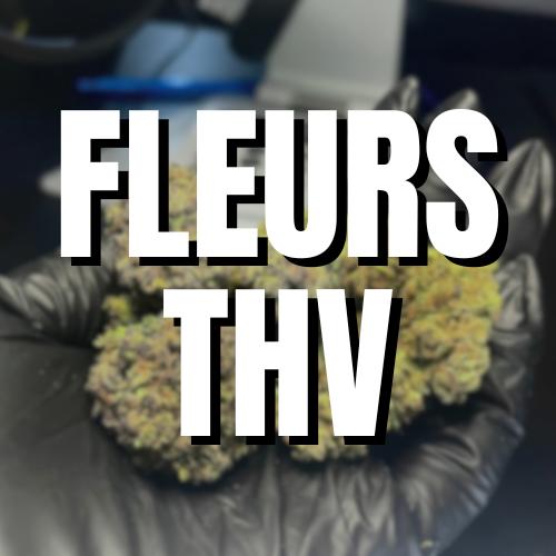 Fleurs THV